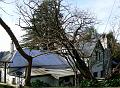 'The Cedars', Hans Heysen's House, near Hahndorf P1080719